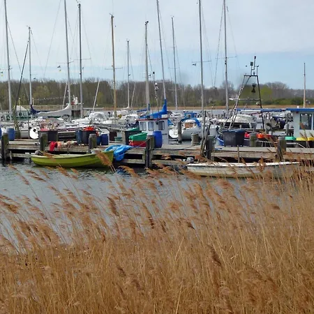 H12 Holz-ferienhaus Haffblick Nahe Ostseebad Rerik *