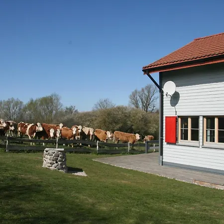 H12 Holz-ferienhaus Haffblick Nahe Ostseebad Rerik Chalet